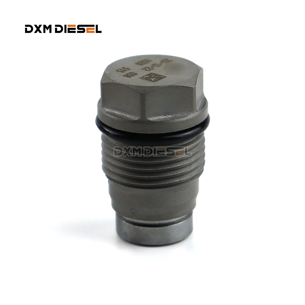 RELIEF VALVE 1110010028 factory