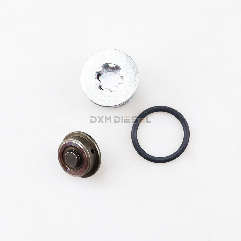 Rebuild Overhaul kits F00N01244 factory