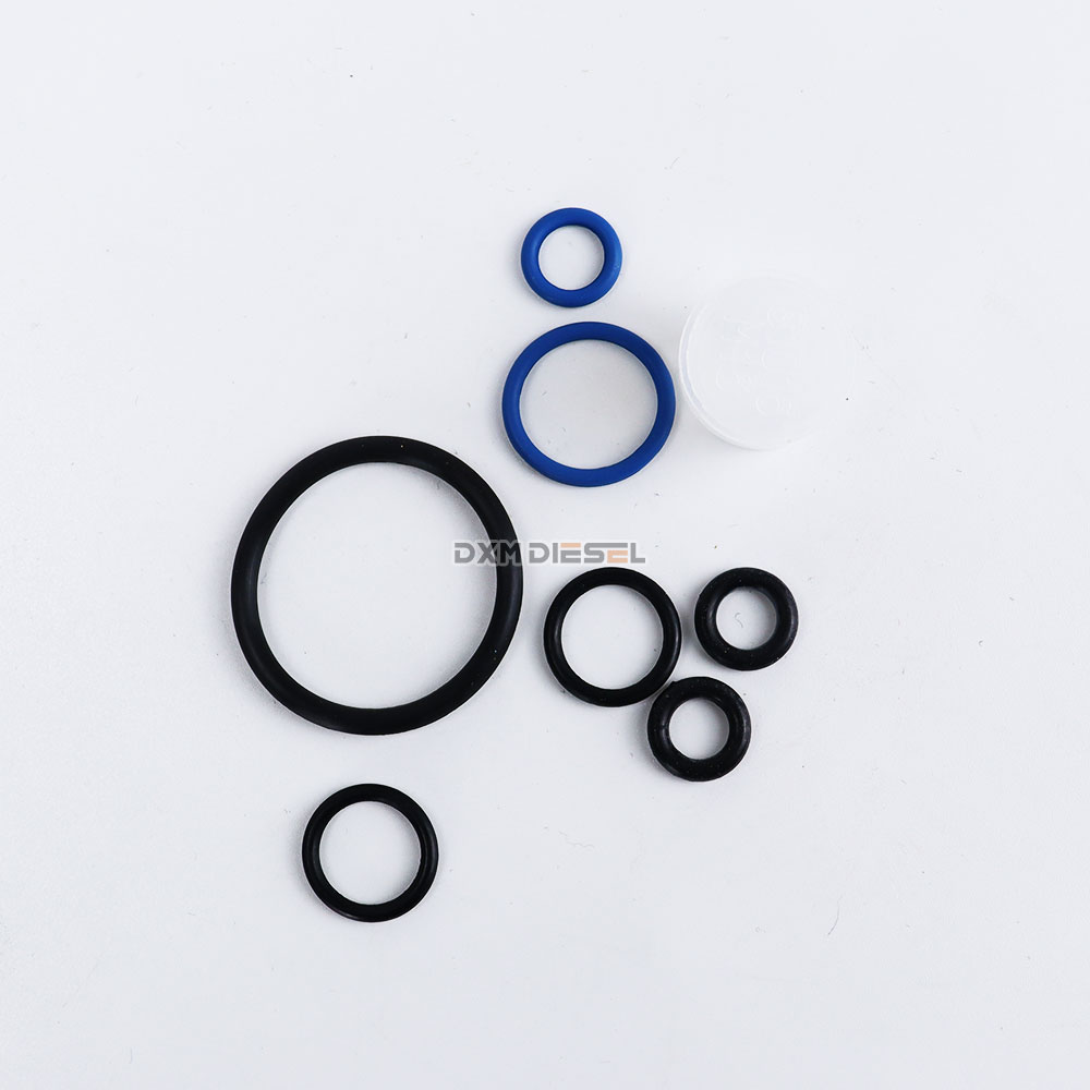 high quality Good price CP4 pump repair kis supplier