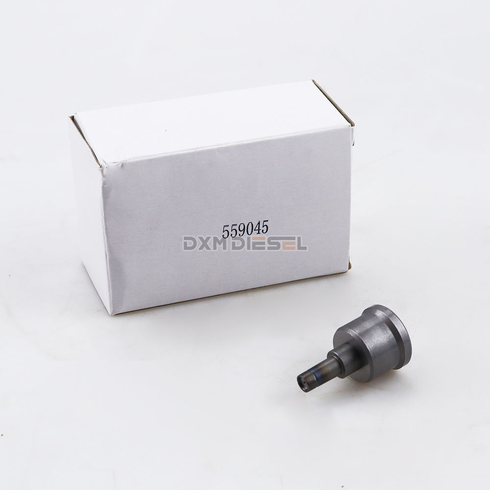 Delivery valve 2418559045 manufacture