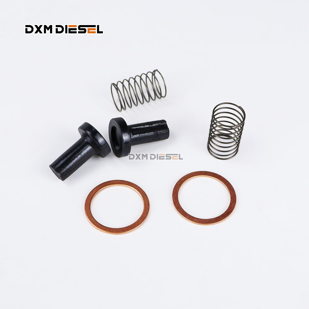 Feed Supply Pump Repair Kit Feed Pump Spare Parts 2447010011 800046 2447010019