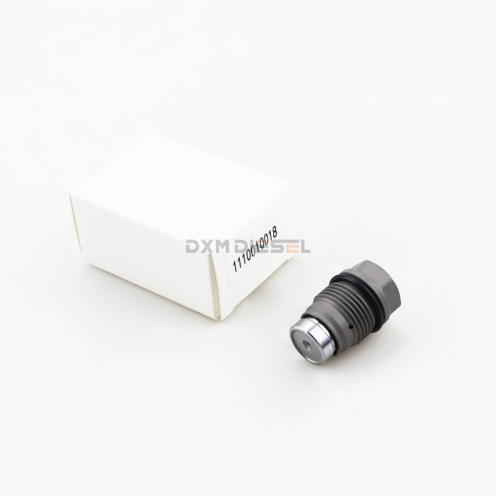 Valve 1110010018 manufacture
