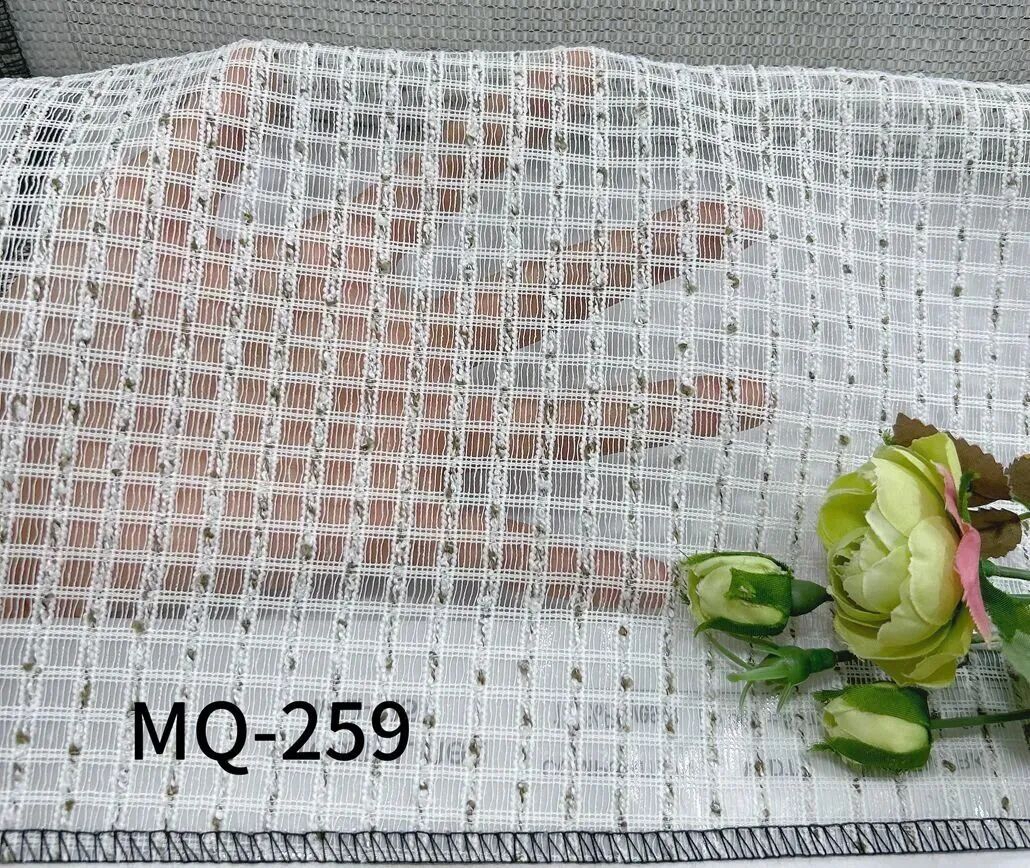 240.jpg