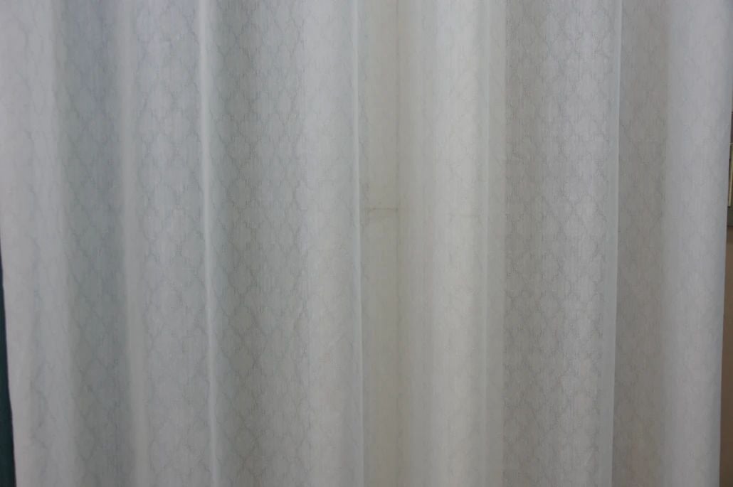 441.jpg