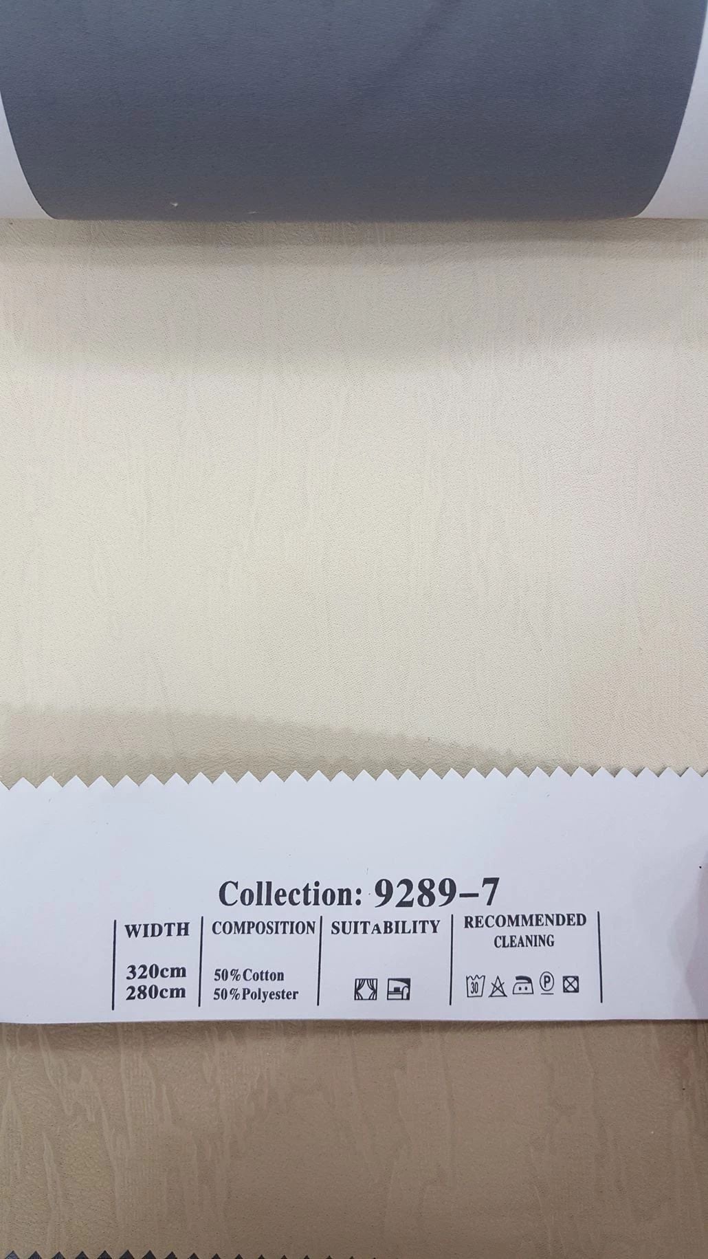 100.jpg