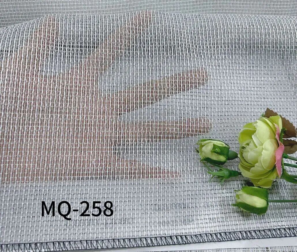 237.jpg