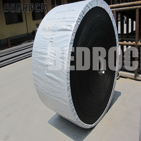 Where Corrosion-Resistant Conveyor Belts Are Most Commonly Used in Industry