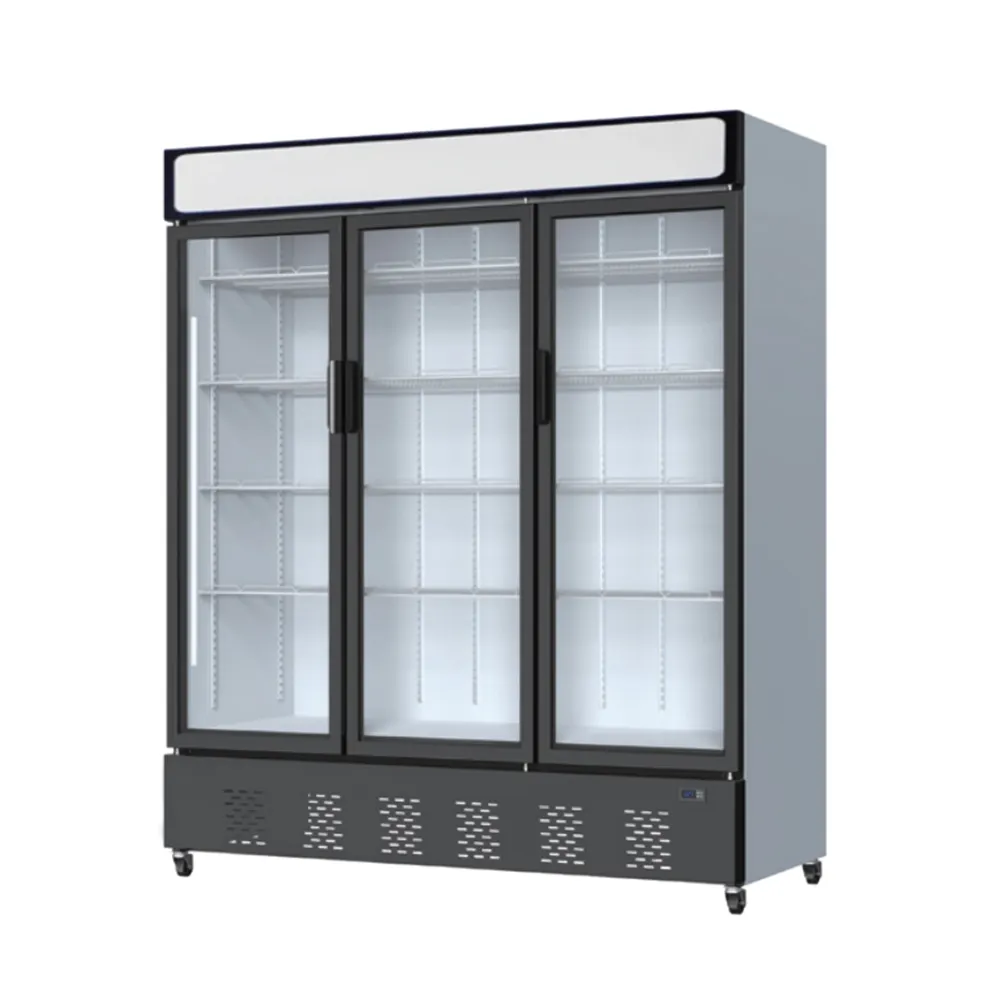DISPLAY FRIDGE