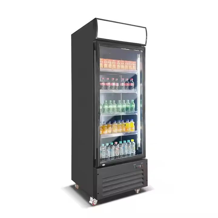 Single Door Display Fridge with top Canopy and bottom compressor