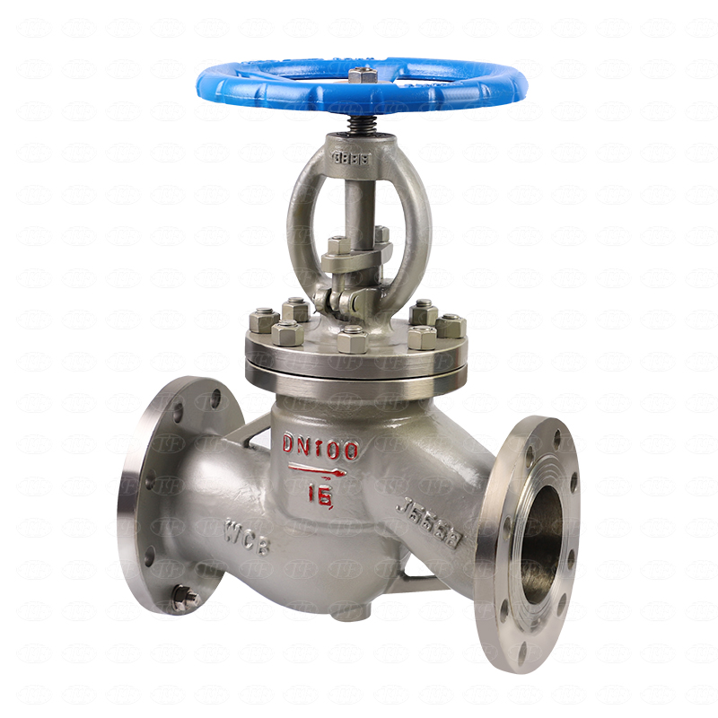 How to Select Globe Valves for Steam, Water and Process Control Systems?