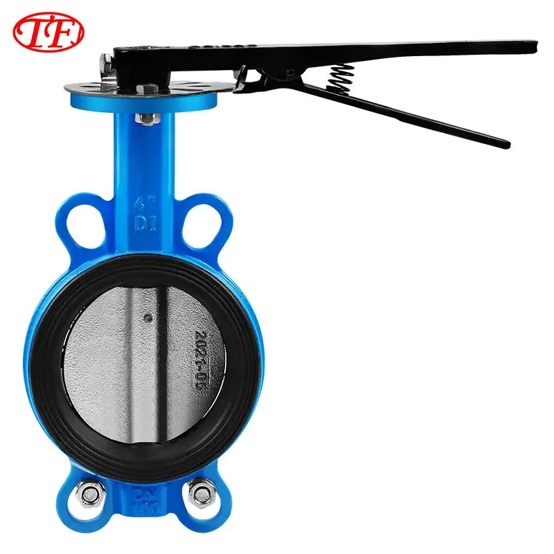 Exploring Cast Iron Globe Valves for Longevity