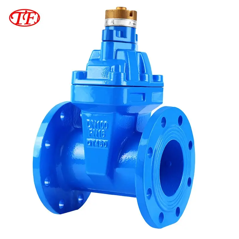 Is a Rising Stem Gate Valve Right for You?