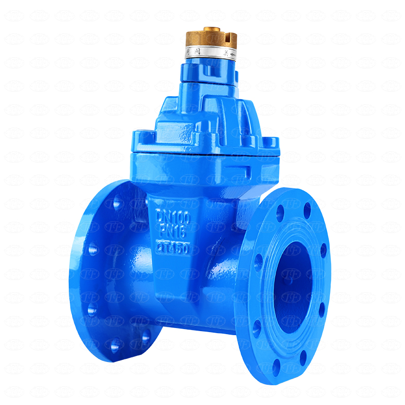 Ductile Iron Gate Valves: Strength in Design