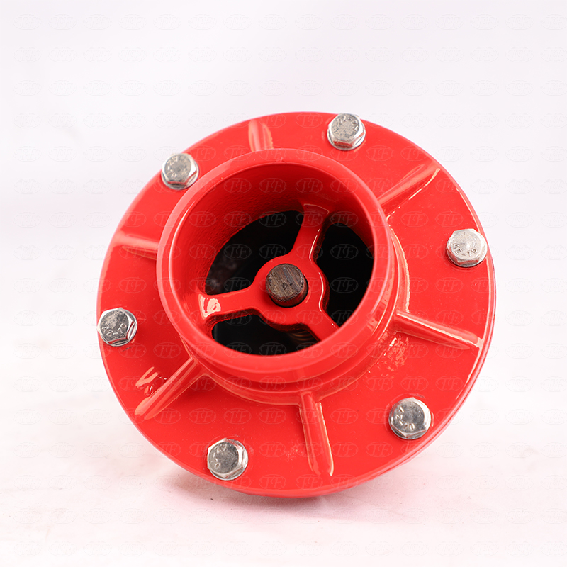 When Should Check Valves Be Installed to Prevent Backflow in Pipeline Systems?