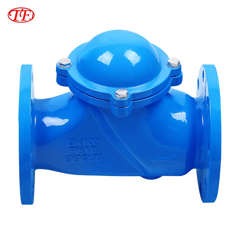 Ductile Iron Flange Ball Check Valve Q41X-10Q