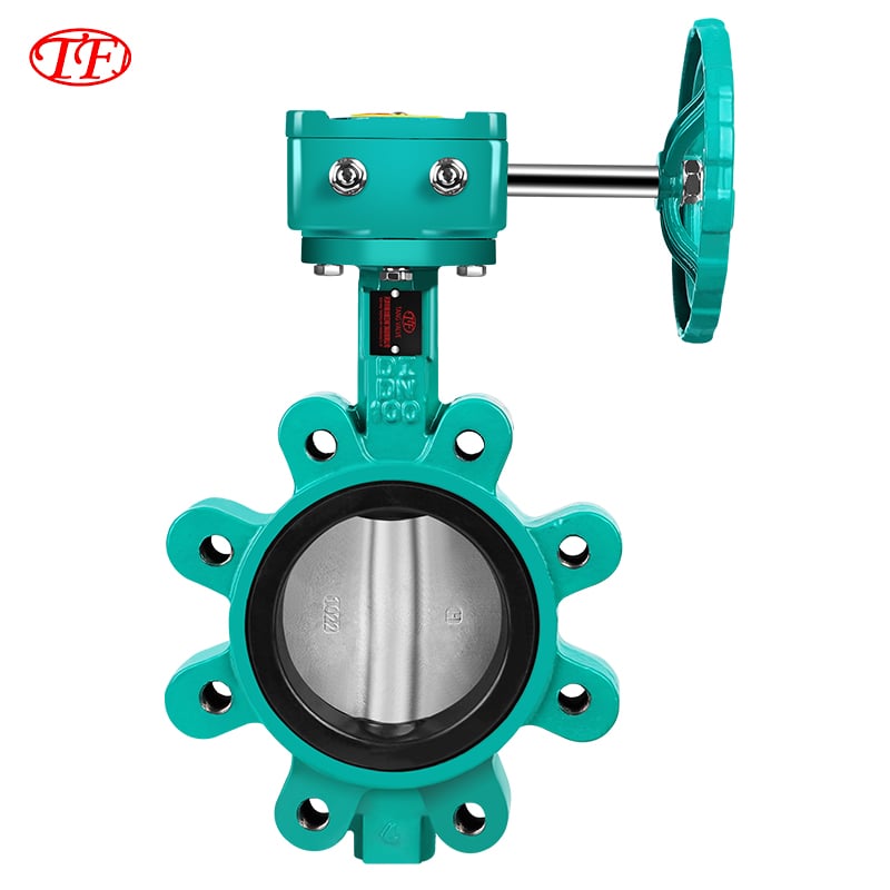 Cast Steel Manual Worm Gear Lug Butterfly Valve EPDM