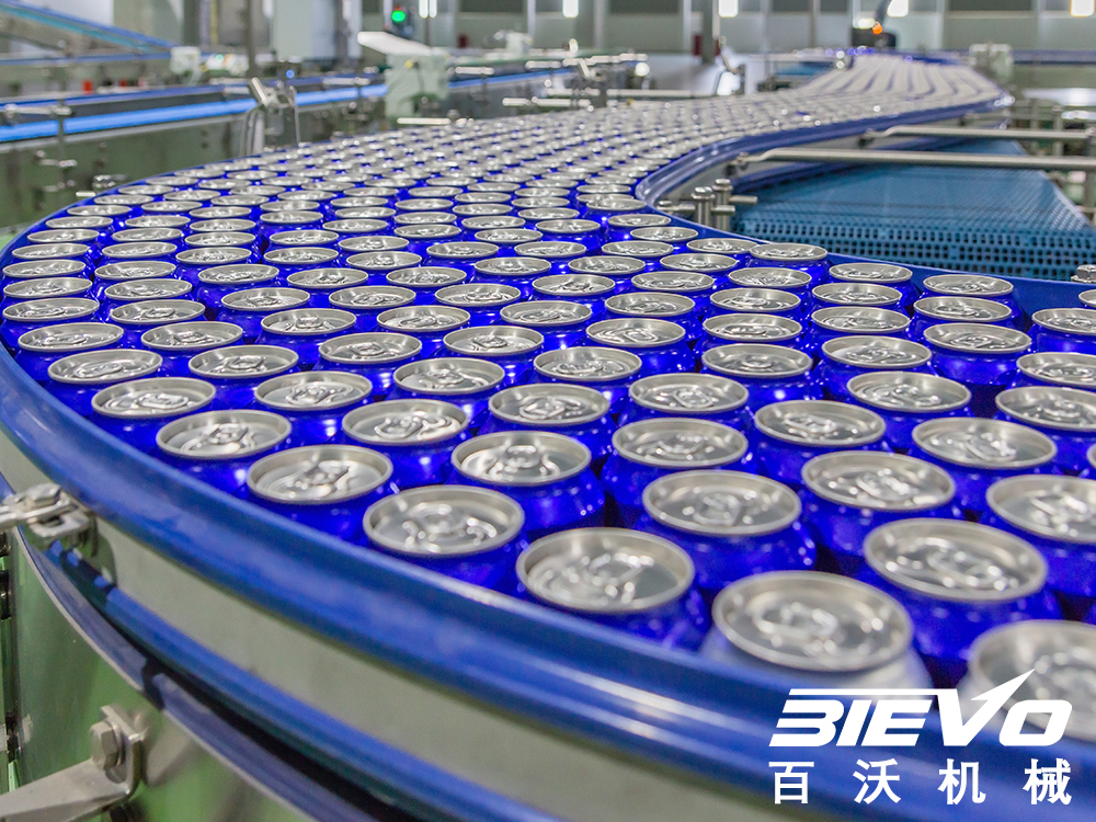 6Flat Conveyor.jpg