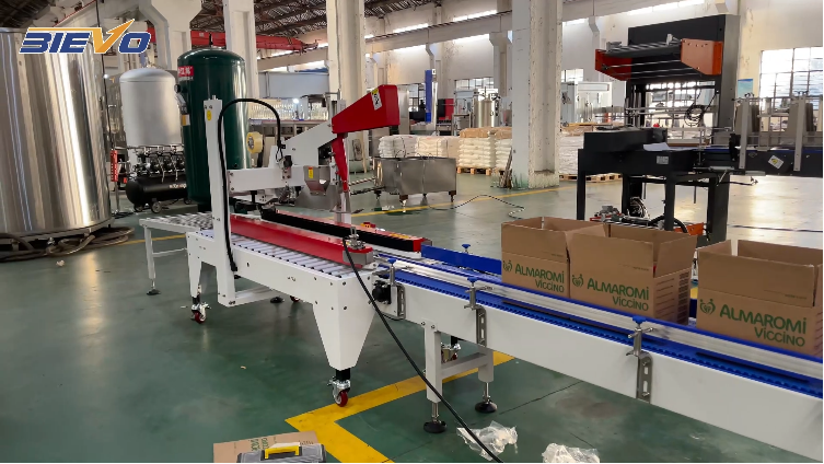 automatic grab type case packer