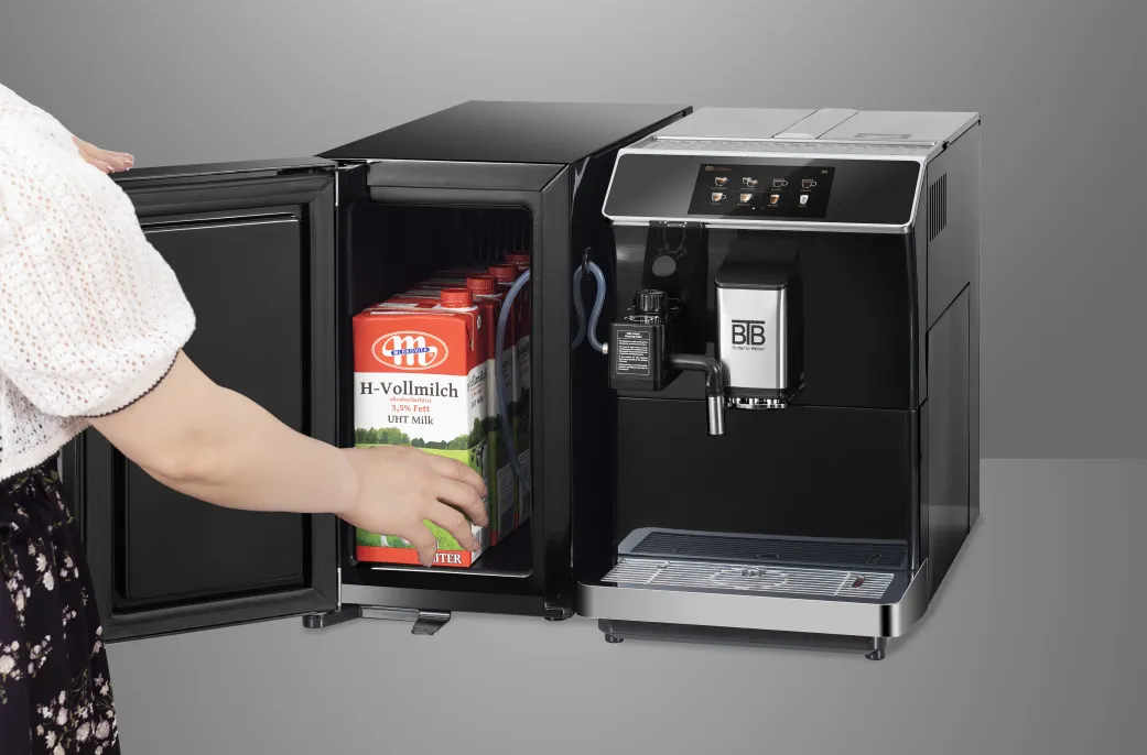 Product Introduction | BTB Small Refrigerator Series