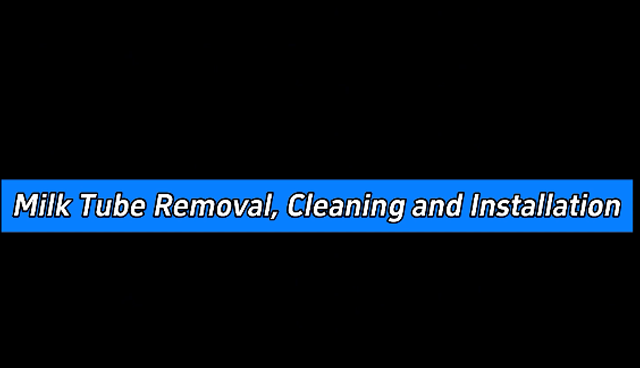 Milk Tube Removal, Cleaning and Installation