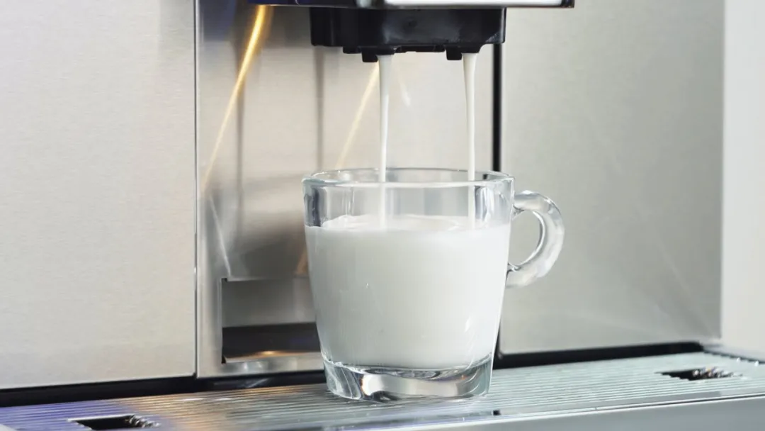 Commercial Coffee Machine with Steam Frothing Function | BTB-301