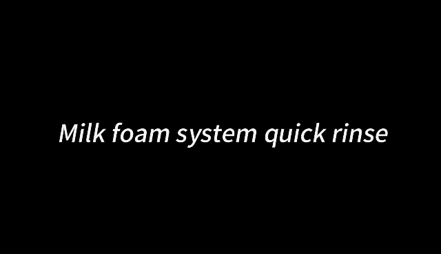 101+3-Milk foam system quick rinse