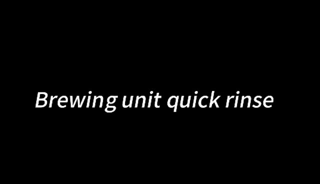 101+3-Brewing unit quick rinse