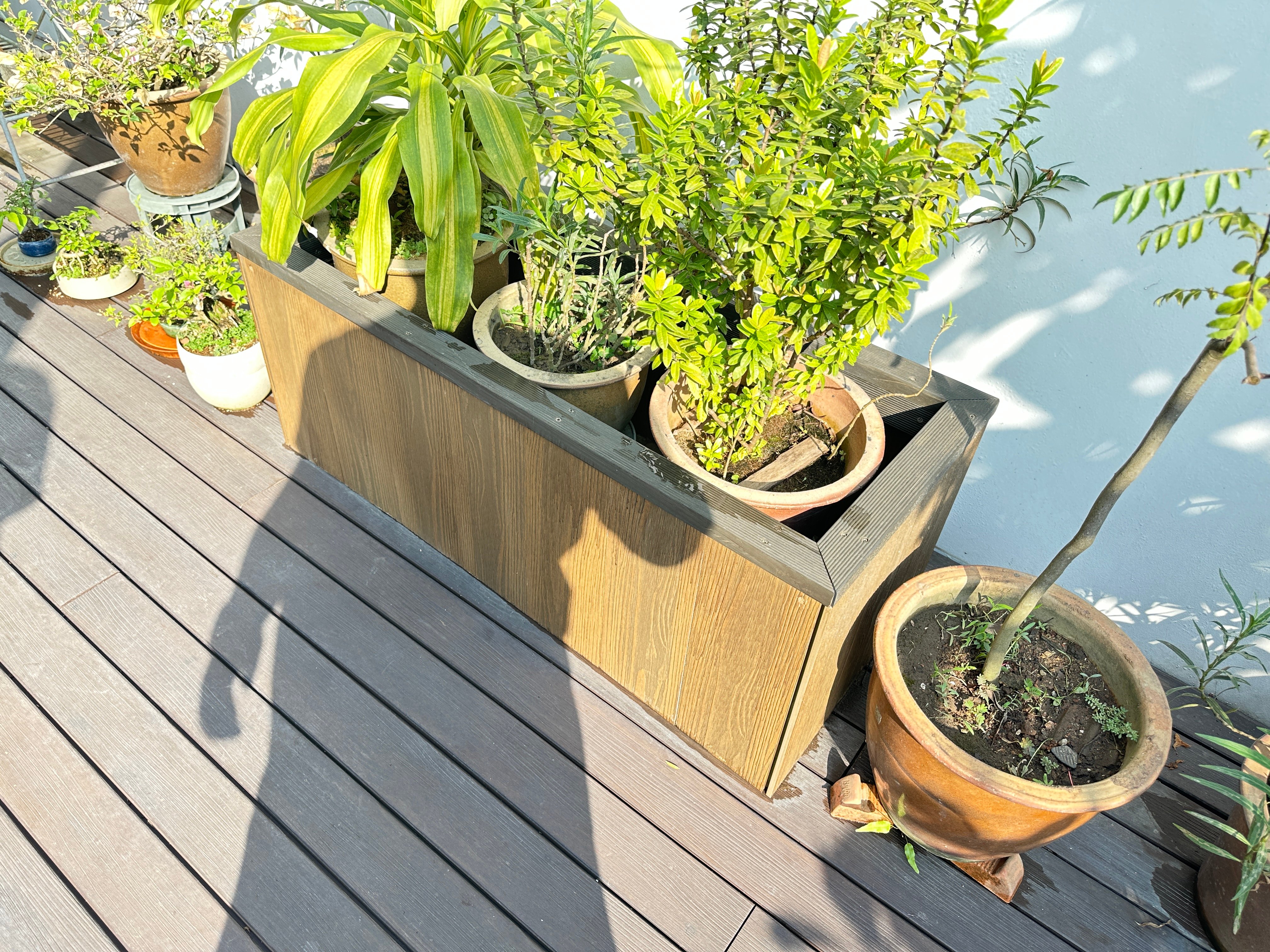 Singapore Garden Decking