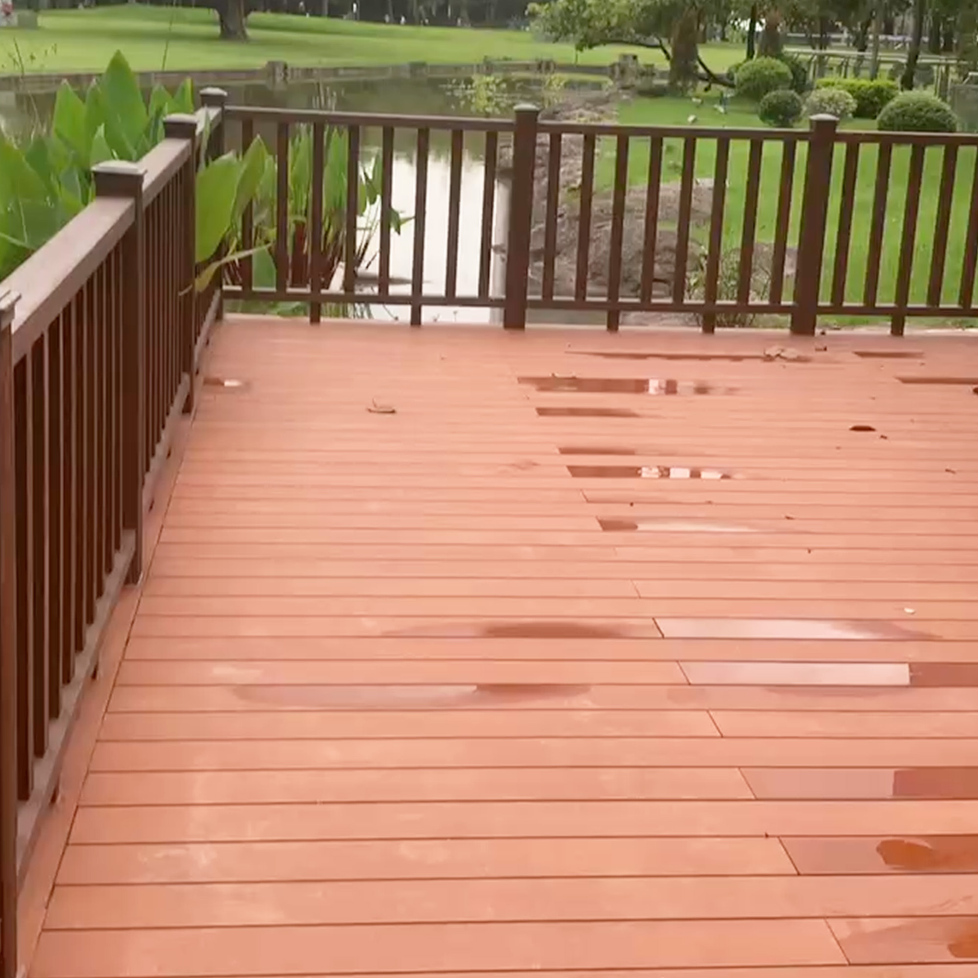Wetland Park Project