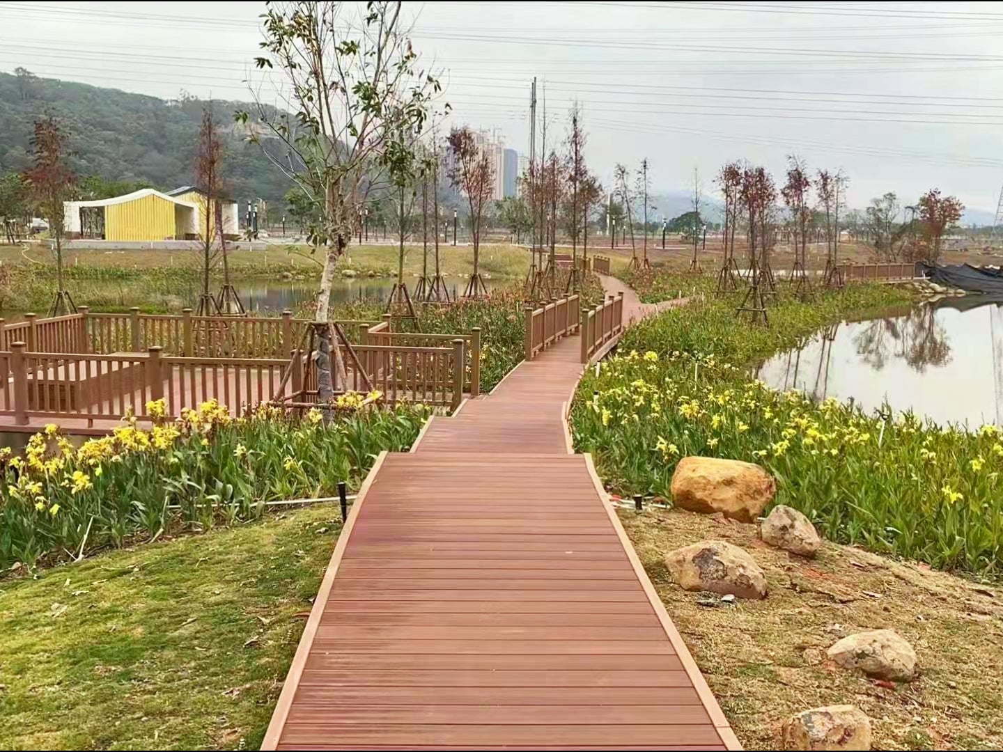 Budapest Wetland Boardwalk