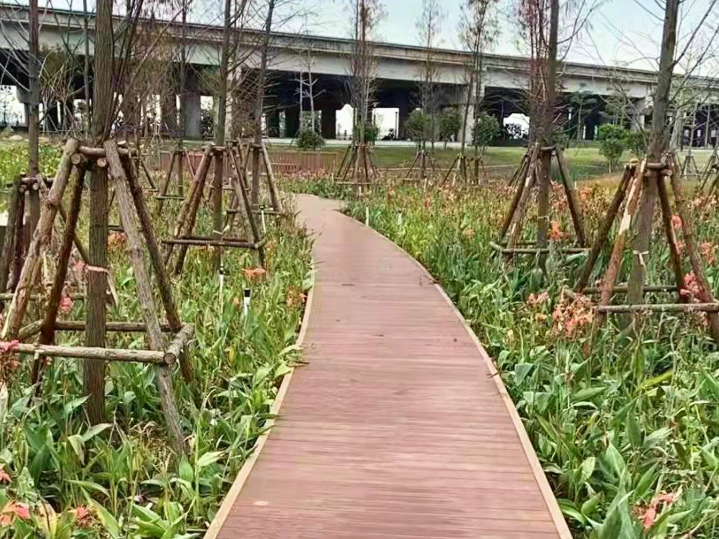 Budapest Wetland Boardwalk