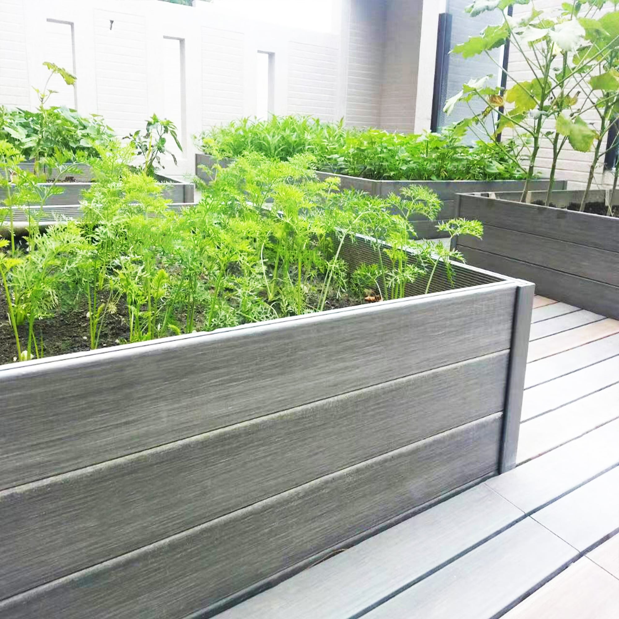 Outdoor Garden Flower Boxes