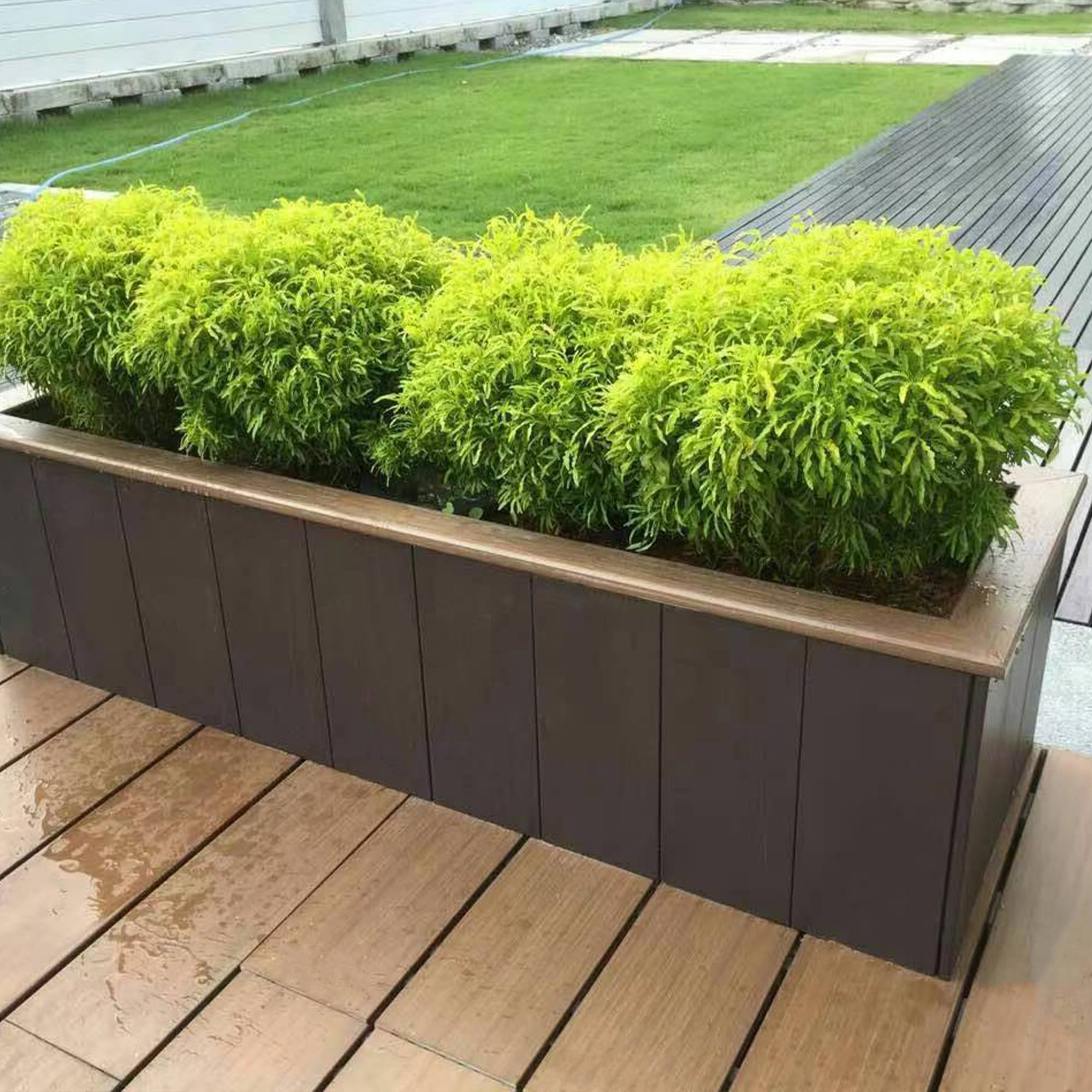 Outdoor Garden Flower Boxes