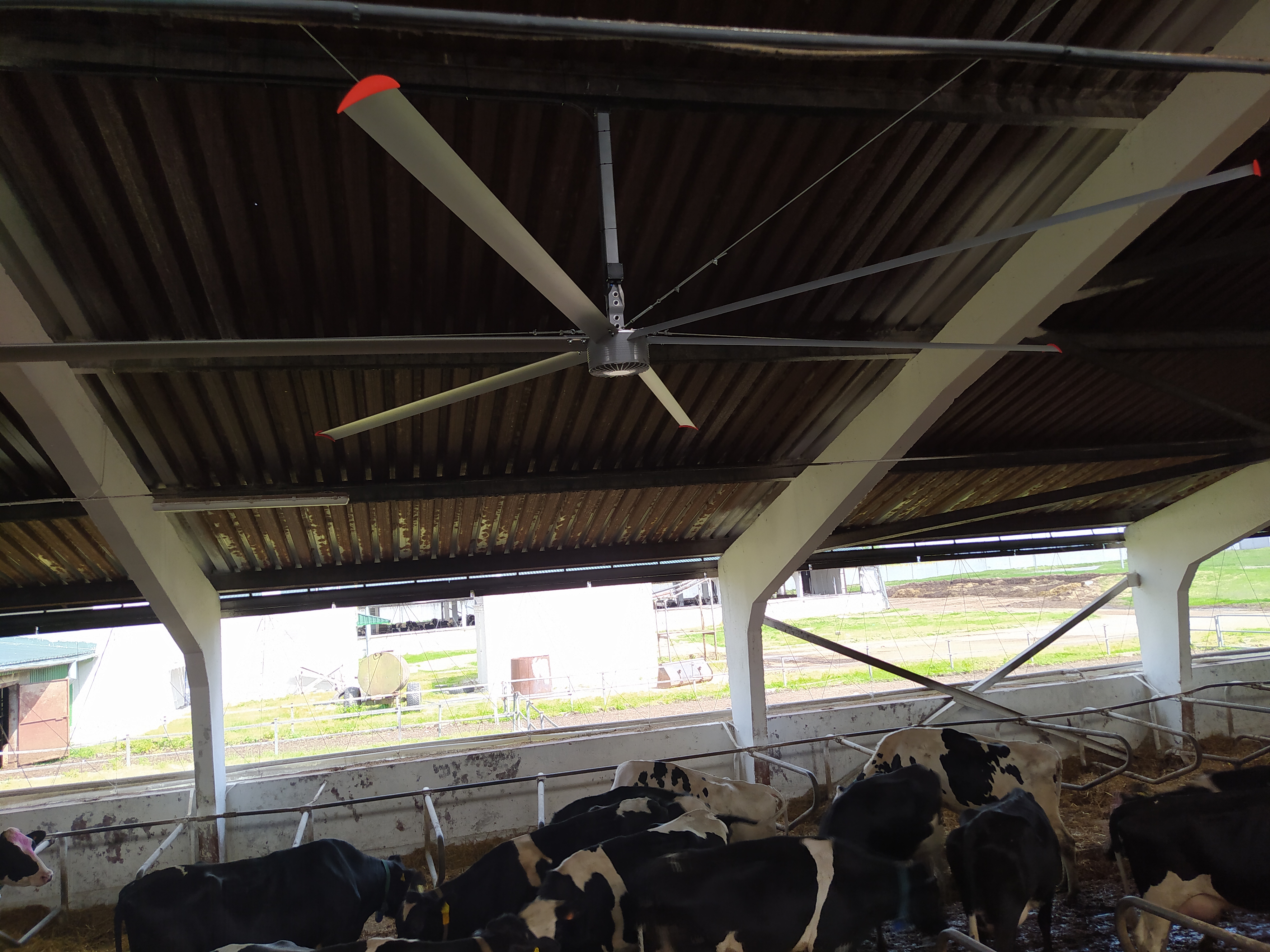 What Are the Common Usage Issues with Cow Shed Fans?