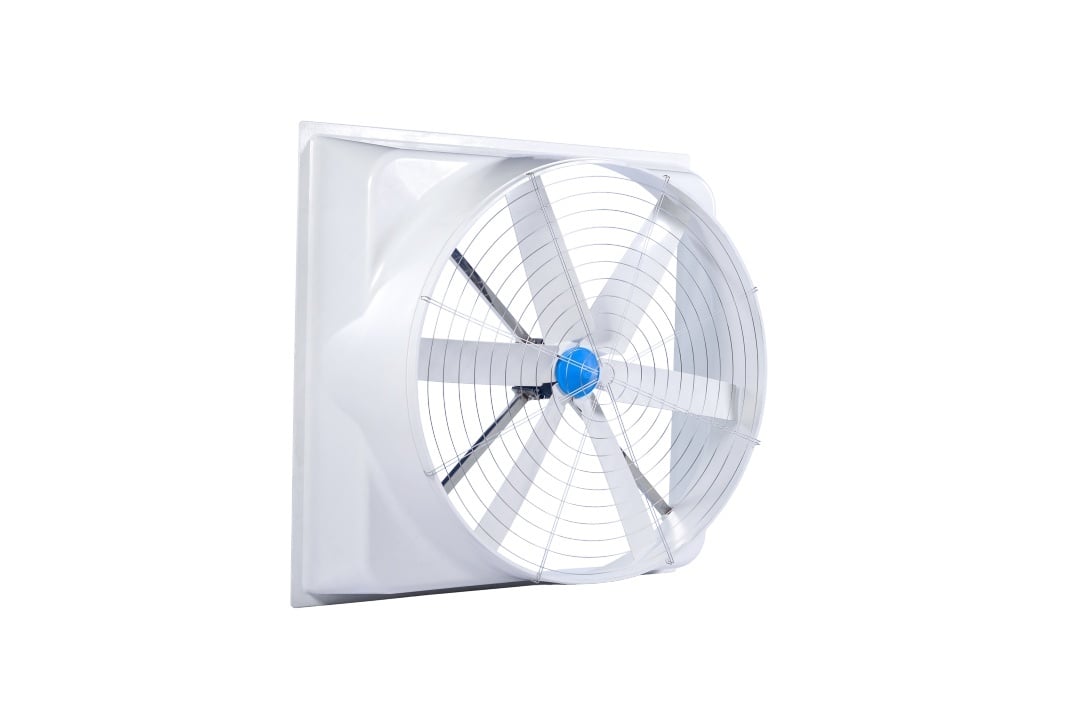 How to Maintain Your Poultry Farm Fans for Longevity and Performance?