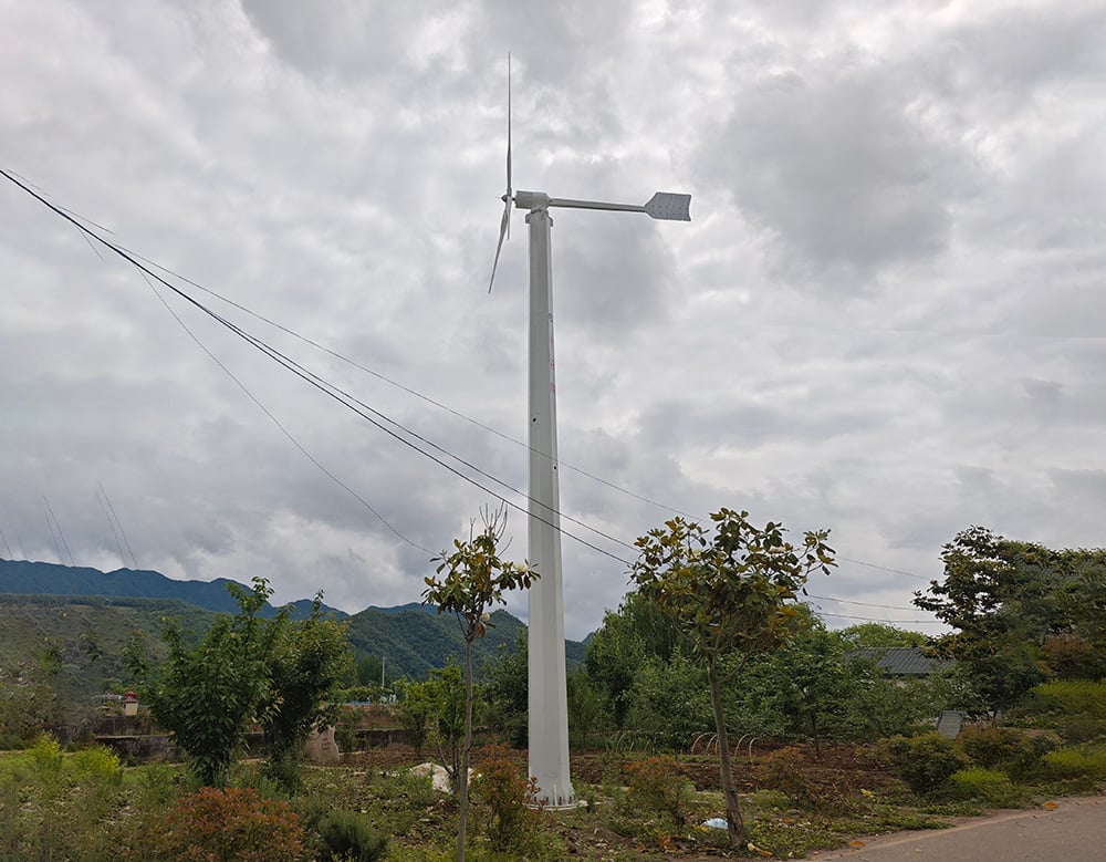 案例2-10kw 1.jpg