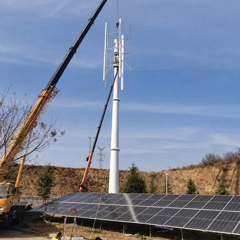 Cost Factors for Bulk Orders of Domestic Wind Power Generators