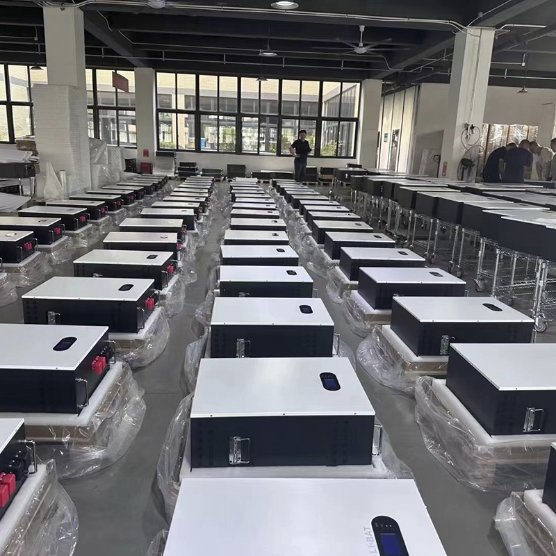 Why Are the Prices of Lithium Battery So Diverse?