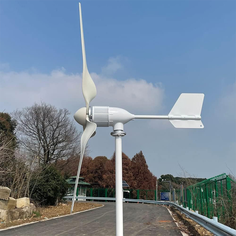 How to Compare Wind Generators for Bulk Orders