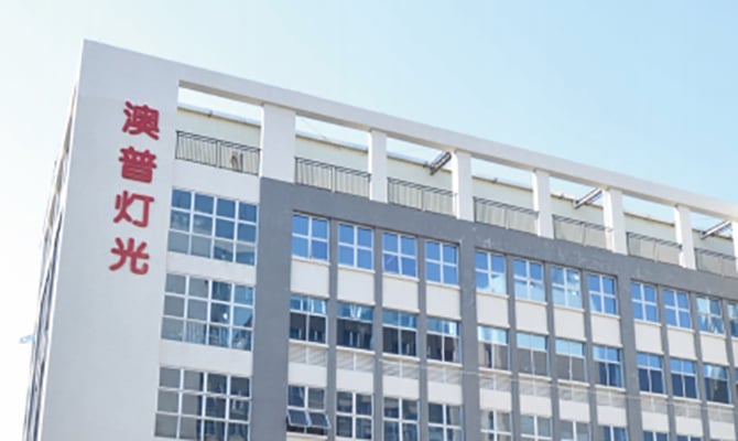 Our Company