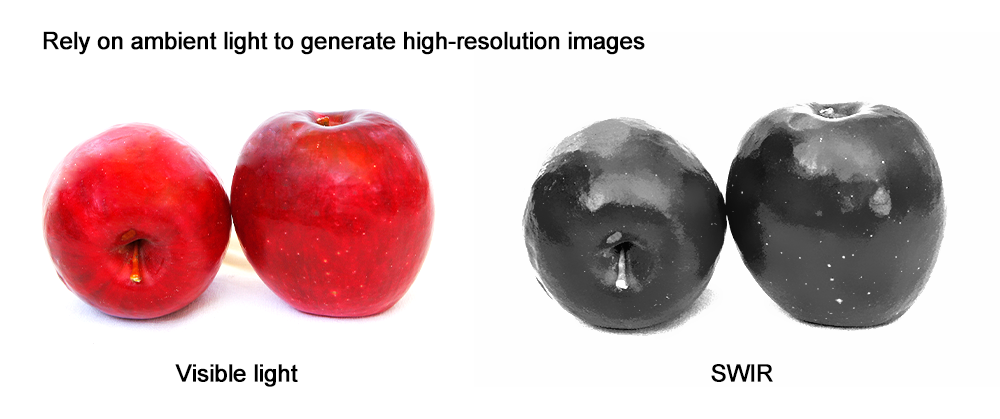 SWIR Camera vs. LWIR Camera: Key Differences-1.png
