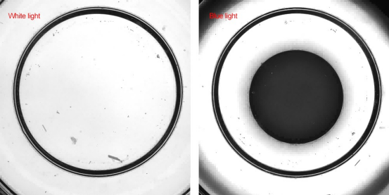 Machine Vision Lighting: How to Optimize Image ContrastThe Role of Lighting in Machine Vision Image Contrast