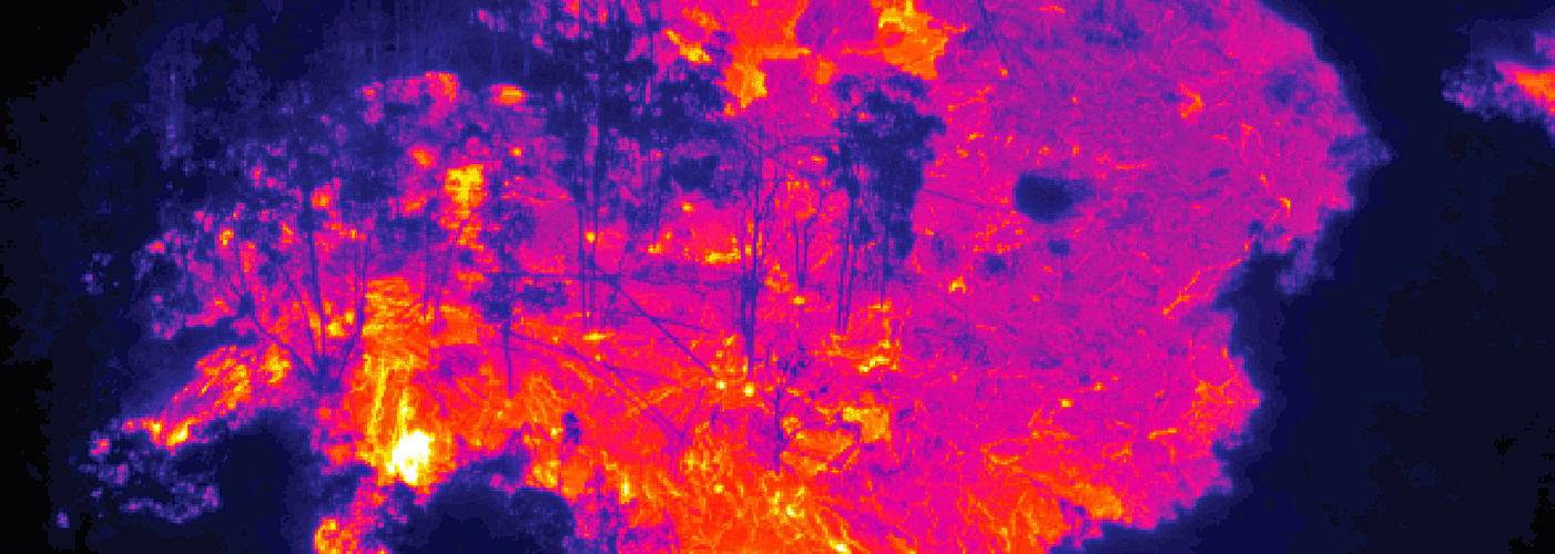 Thermal Imaging Cameras (5).png