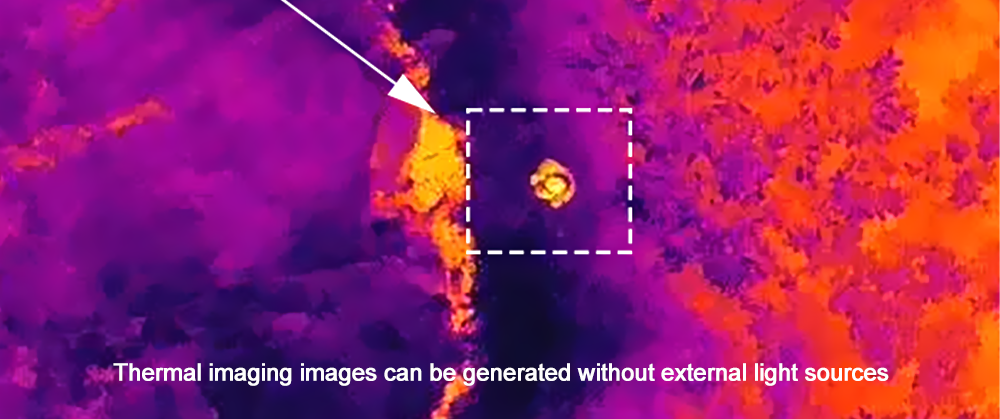 SWIR Camera vs. LWIR Camera: Key Differences-2.png