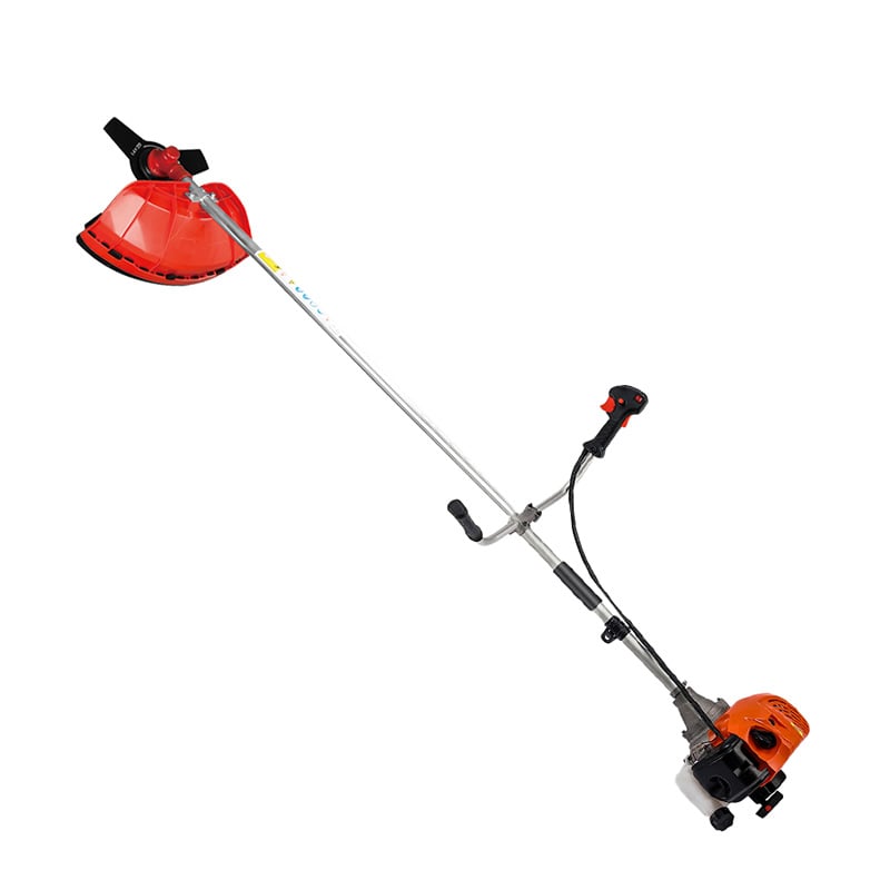 https://shopcdnalpha.grainajz.com/category/348250/697/3eb632add5491b96fb7c080cf999dc71/6.jpg