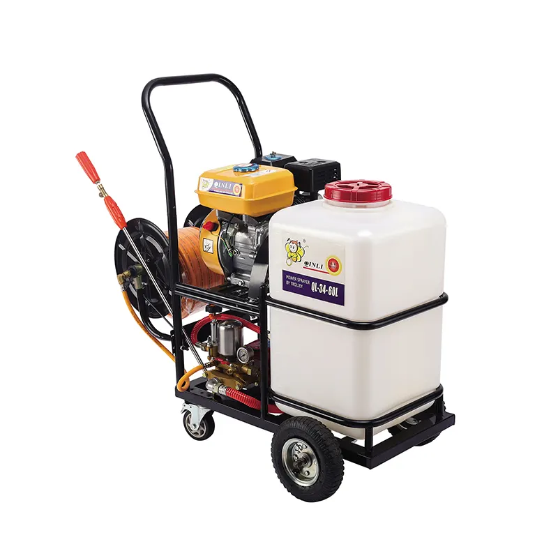 https://shopcdnalpha.grainajz.com/category/348250/697/48ef4f8ca05c4ac2eb524dc01d399dd6/3.jpg