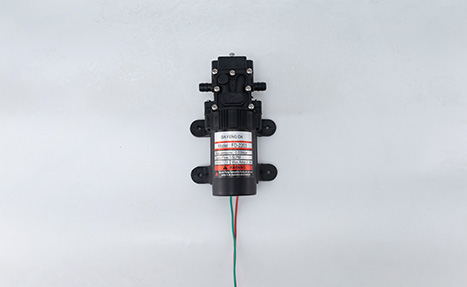 Sprayer Diaphragm Pump 