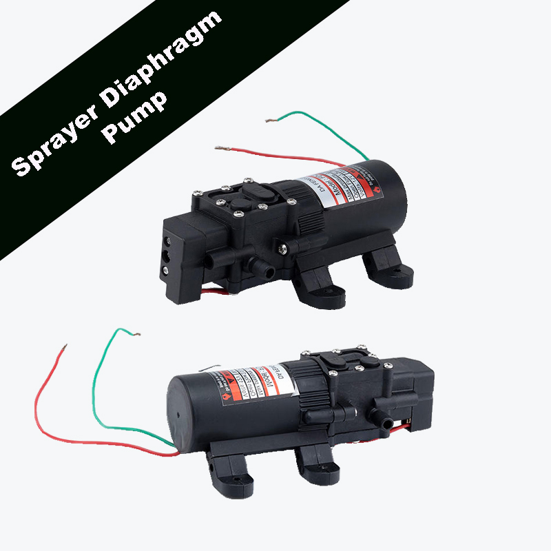 Durability of Diaphragm Pumps in Outdoor Agricultural Water Transfer Applications