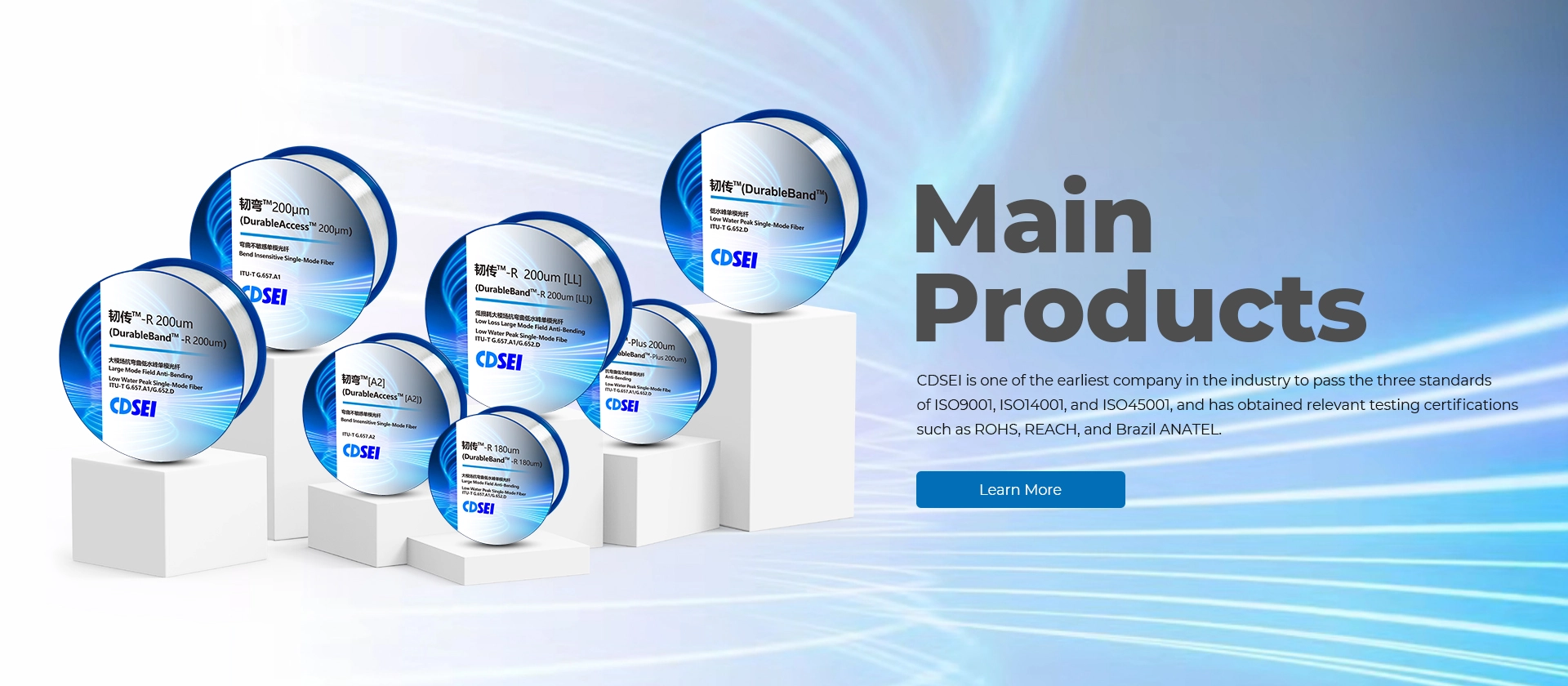 Main Products Banner1-CDSEI