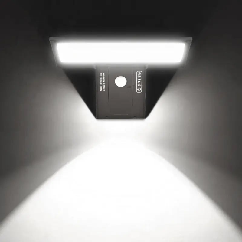 Whale Solar Wall Light